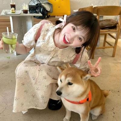 镀金的恋爱